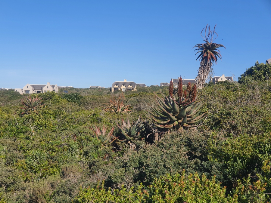 0 Bedroom Property for Sale in Boggomsbaai Western Cape